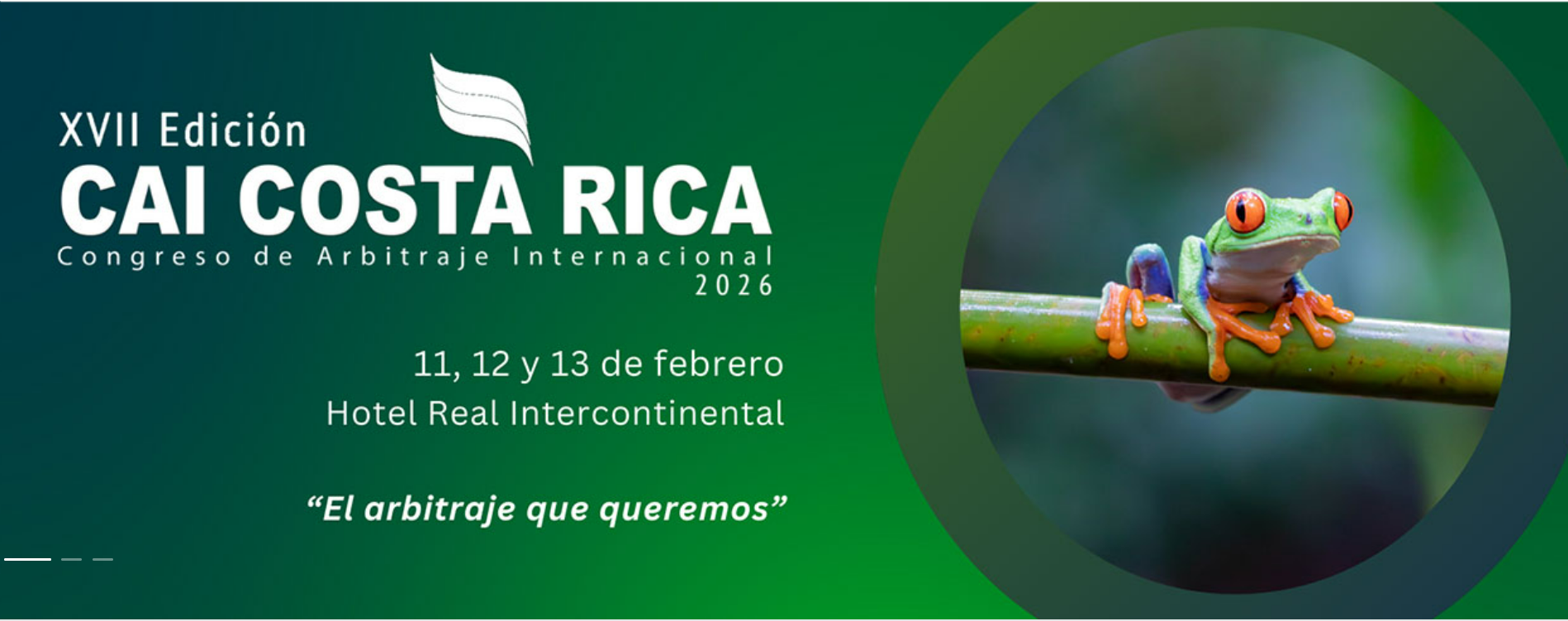 https://www.caicostarica.com